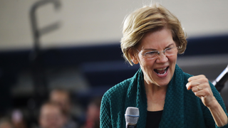 I Fucked Up My Face to Better Understand Elizabeth Warren